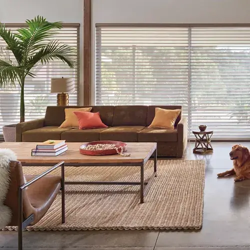 Free Motorization for Silhouettes and Pirhouettes.